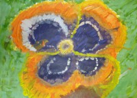 Pansy