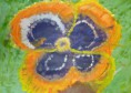 Pansy